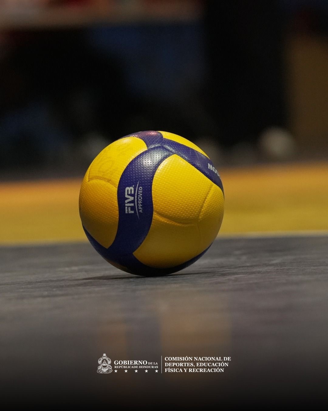 Liga Voleibol Francisco Morazàn
