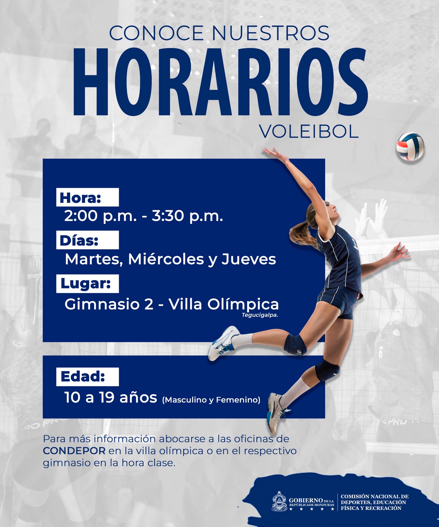 Voleibol