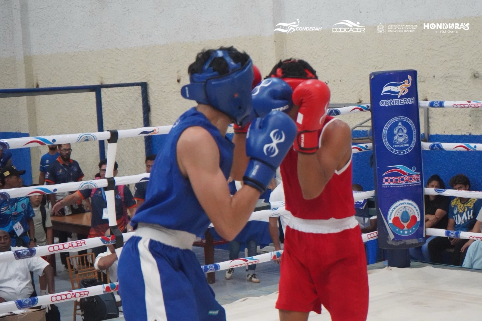 ¡HONDURAS AVANZA CON FUERZA EN EL BOXEO!
