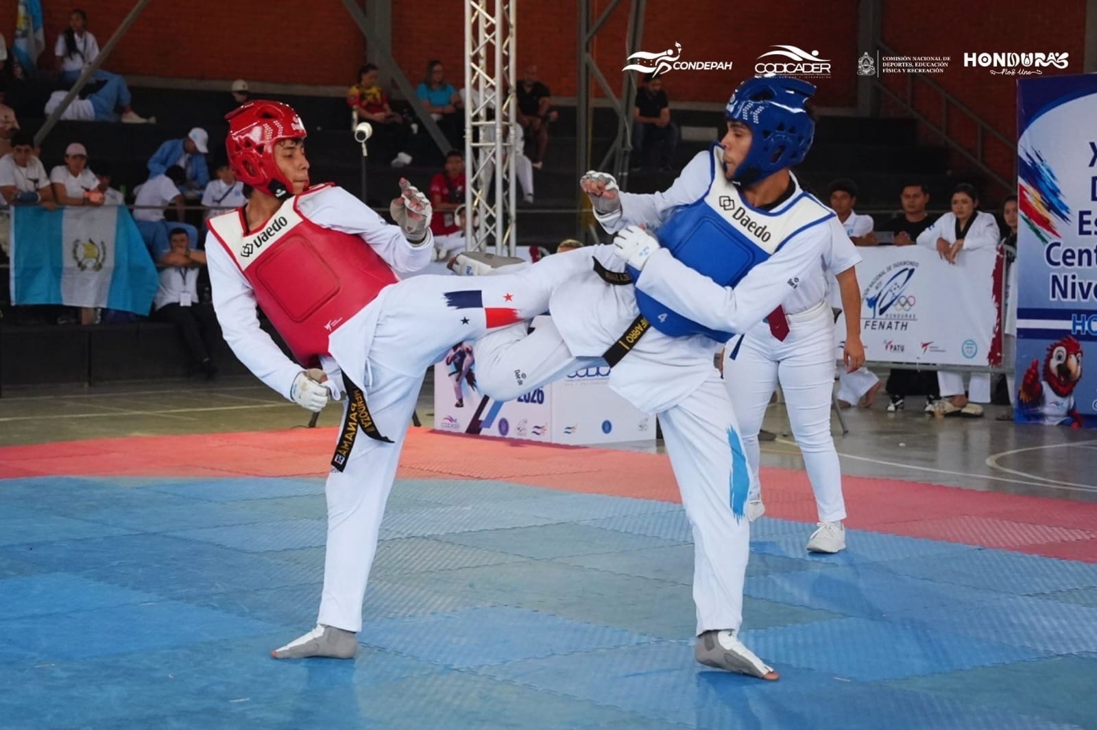 Jorge Guifarro avanza a semifinales
