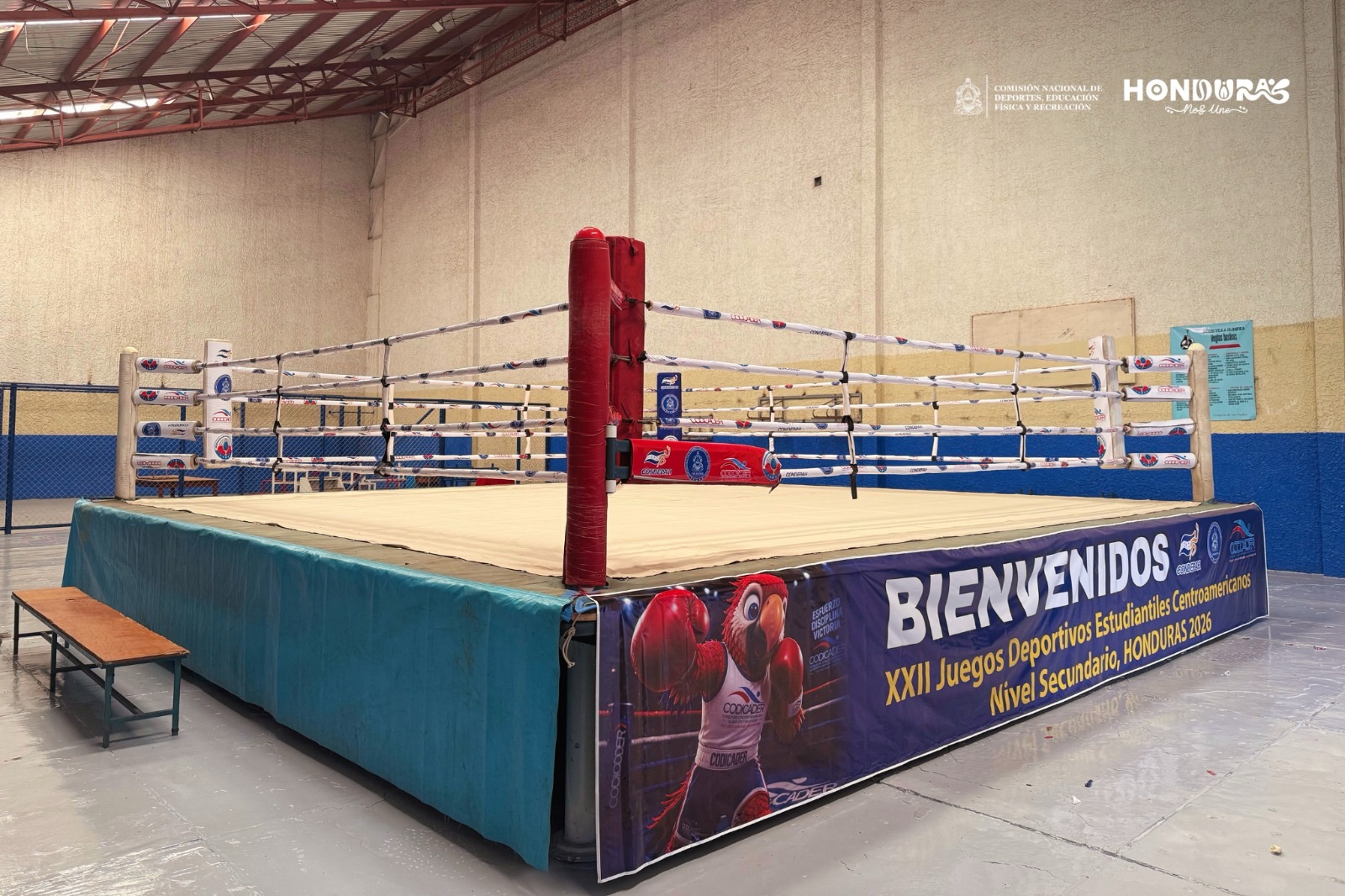 El área de Boxeo está lista para CODICADER 2026